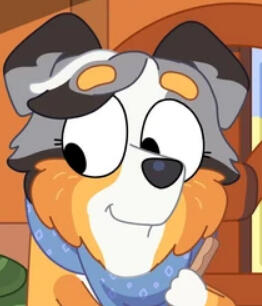 Calypso - (Bluey)